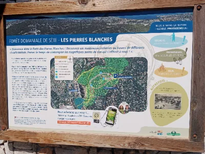 Forêt et Sentier des Pierres Blanches — photo 4