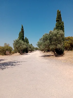Forêt et Sentier des Pierres Blanches — photo 2