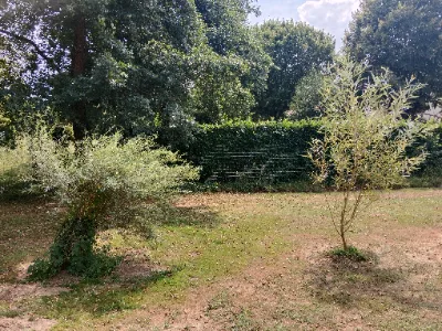 L'arboretum des Saules — photo 5