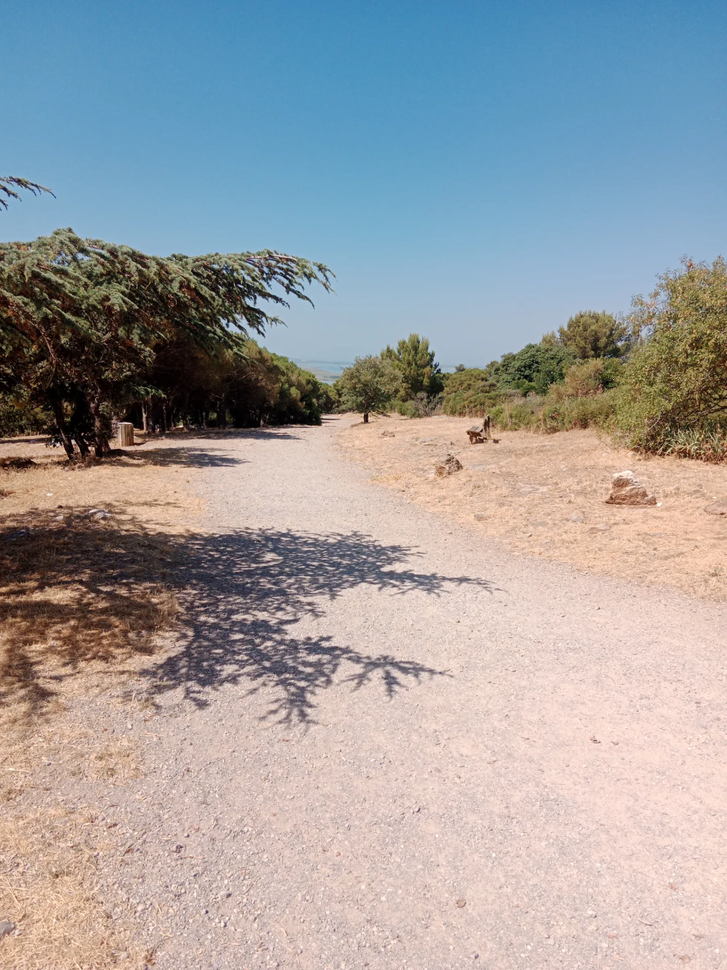 Forêt et Sentier des Pierres Blanches