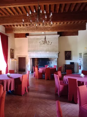 Château des Ducs de Joyeuses — photo 5