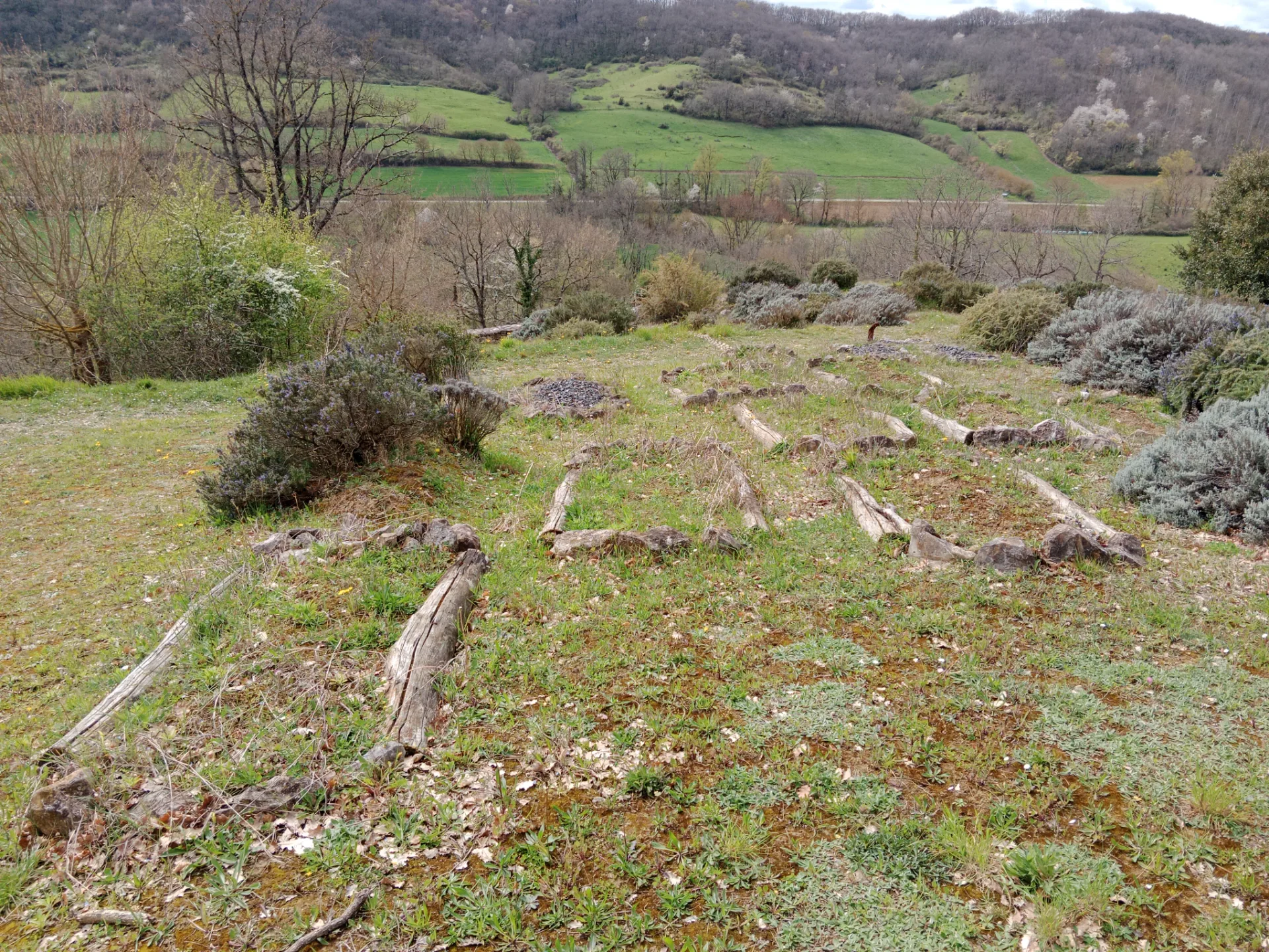 Nécropole Mérovingienne de Tabariane