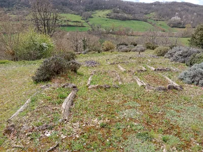 Nécropole Mérovingienne de Tabariane — photo 1