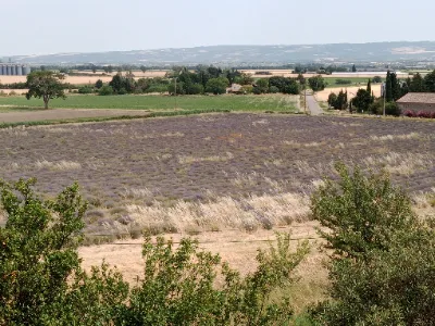 Les Collines de Besplas — photo 2