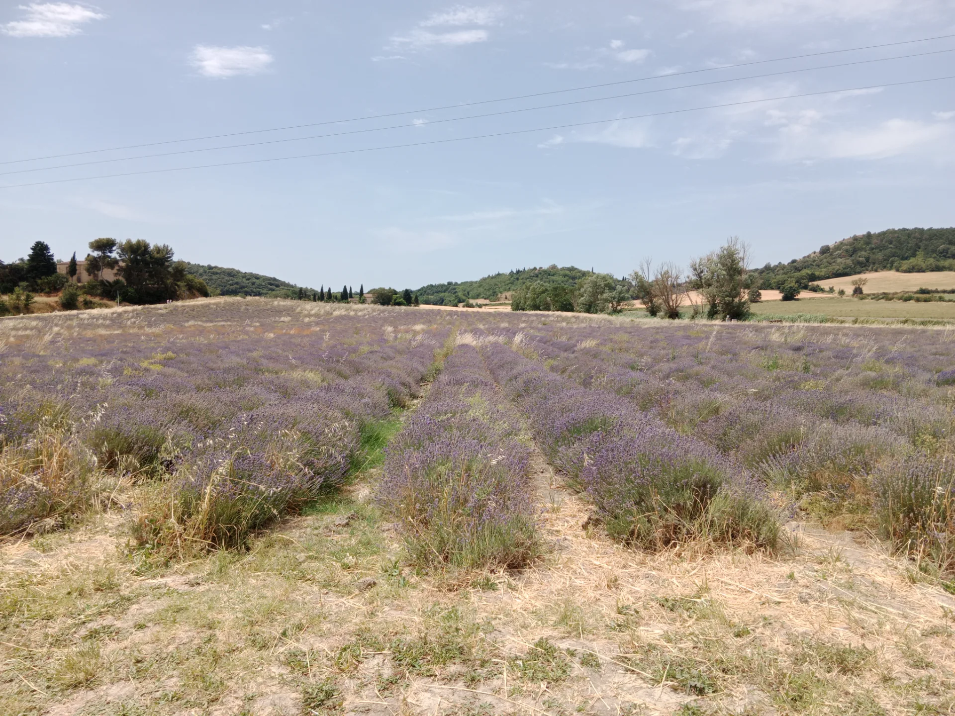 Les Collines de Besplas