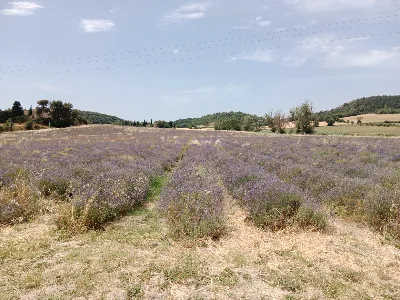 Les Collines de Besplas — photo 1