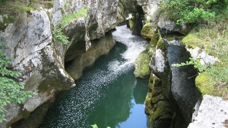 Pertes de la Valserine