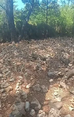 Colorado Provençal — photo 12
