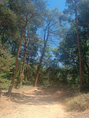Colorado Provençal — photo 9