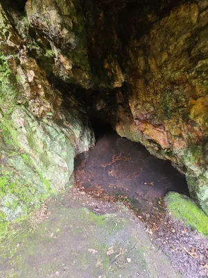 Le Saut Roland — photo 3