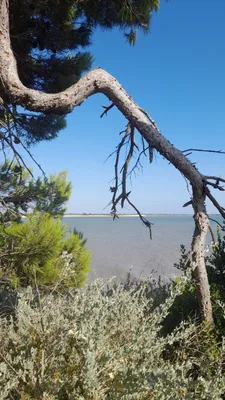 Point de vue du bout du monde