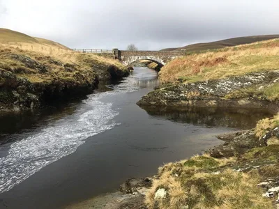 Elan Valley — photo 6