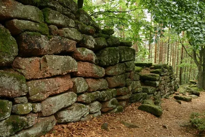 Mur païen du Mont Sainte Odile — photo 1