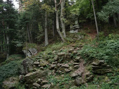 Mur païen du Mont Sainte Odile — photo 2