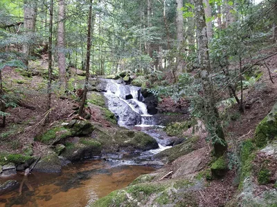 Cascades du saut du diable