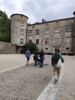 Château de Vogüé — photo 1