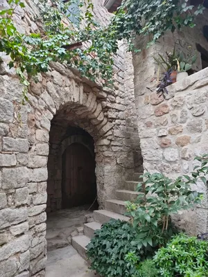 Château de Vogüé — photo 2