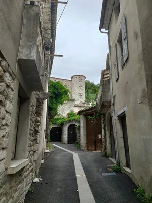 Château de Vogüé — photo 3