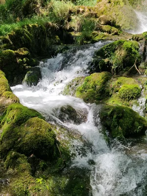 Cascades des dards — photo 5