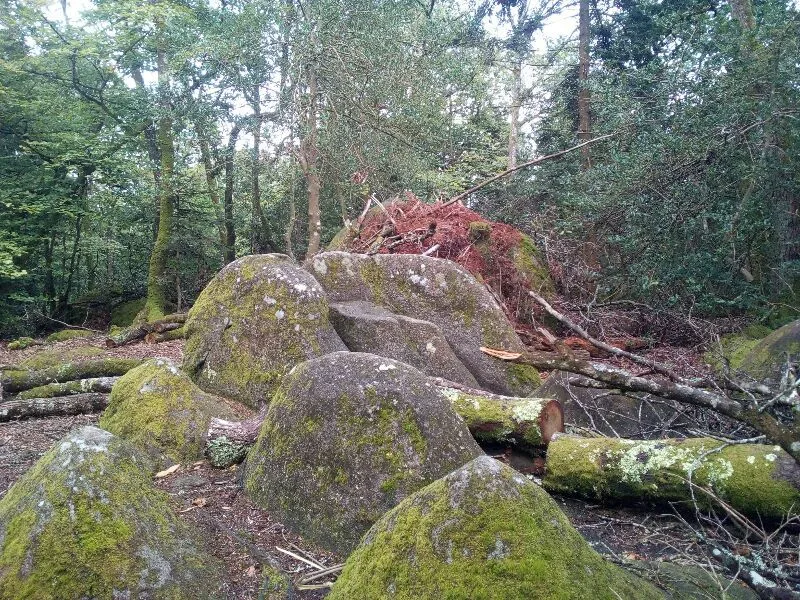 Roche Bertrand