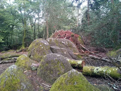 Roche Bertrand — photo 1