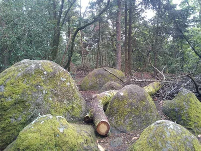 Roche Bertrand — photo 3