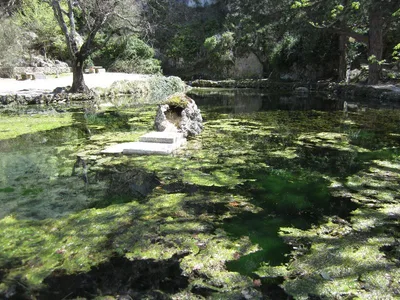Source du Groseau