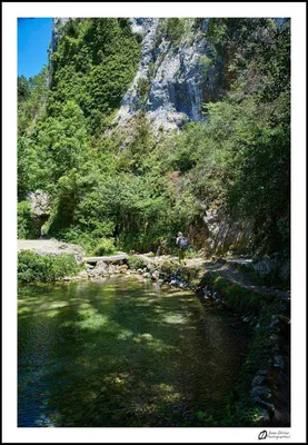 Source du Groseau — photo 2