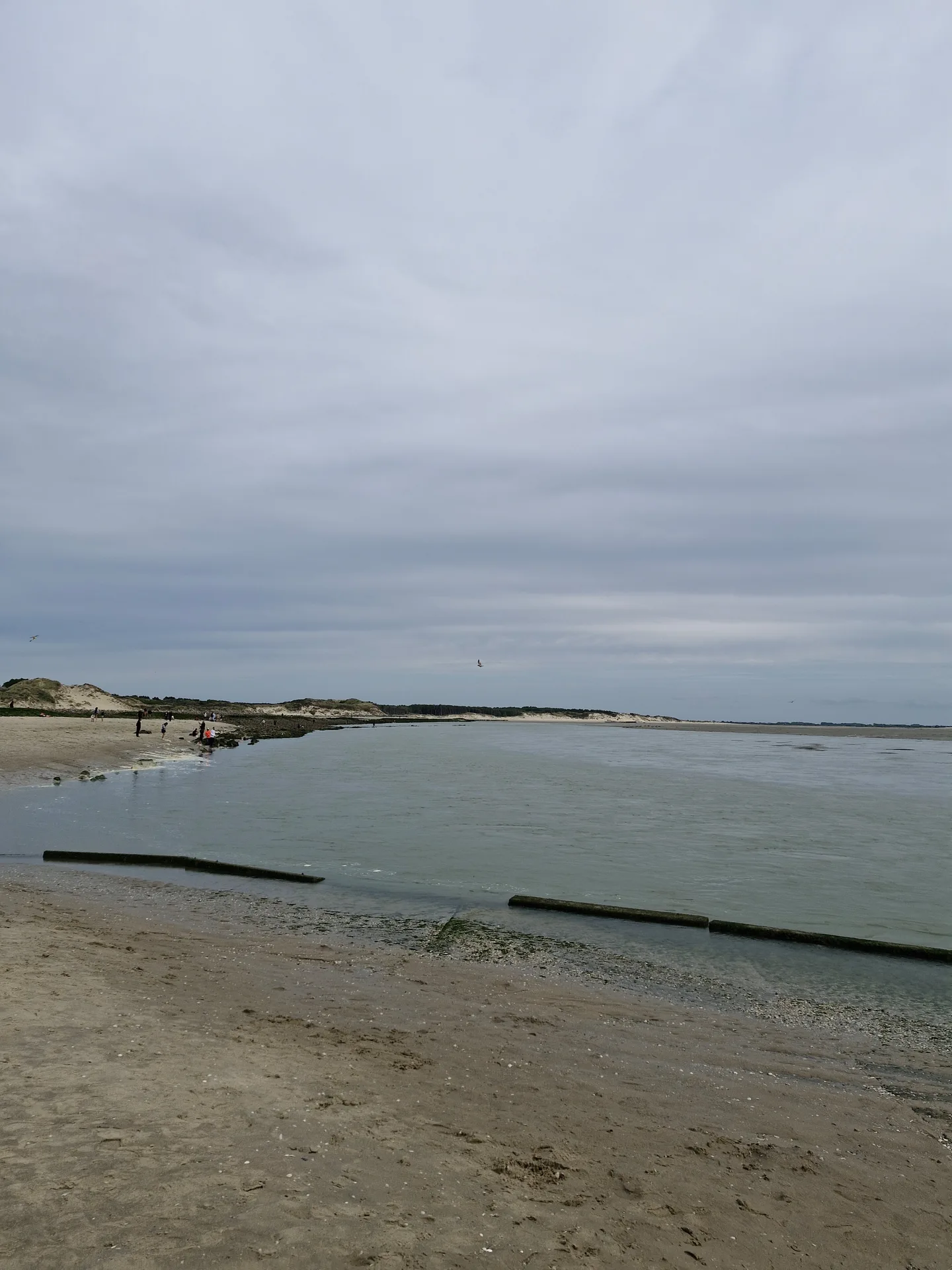 Baie d'authie