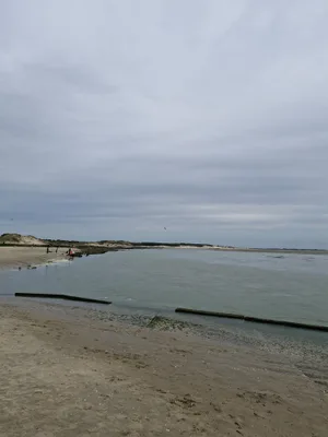 Baie d'authie