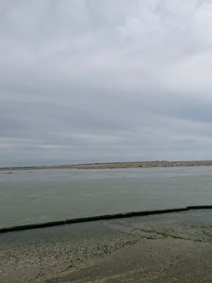 Baie d'authie — photo 2