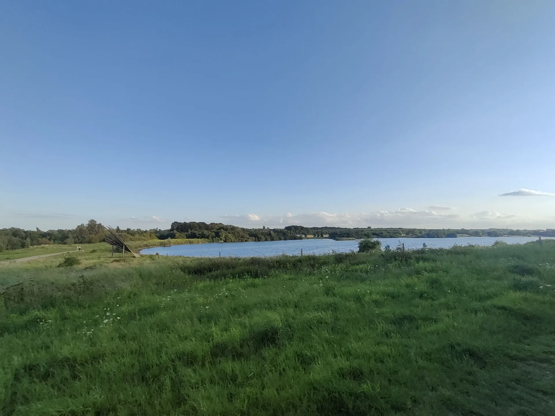 Ibjergskoven