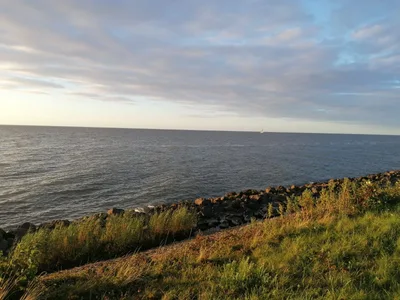 ALMERE — photo 4