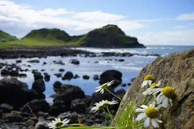 Giant's Causeway — photo 2