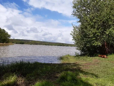 Lac de l'abbaye à Paimpont — photo 2
