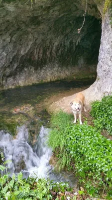 Gorges de pereille — photo 3