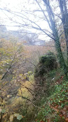 Gorges de pereille — photo 5