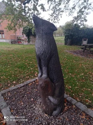 L'arbre au leux