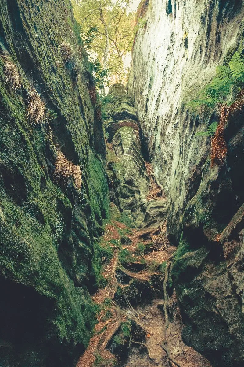 Prachovské skály