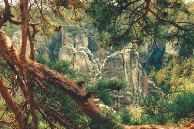 Prachovské skály — photo 2