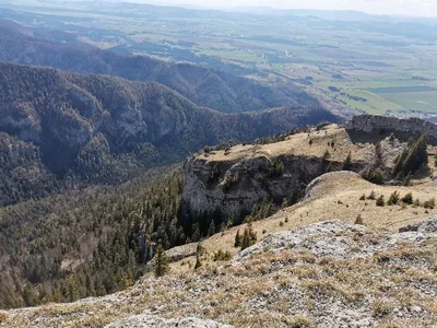 Tlstá — photo 2