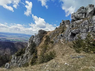 Ostrá — photo 3