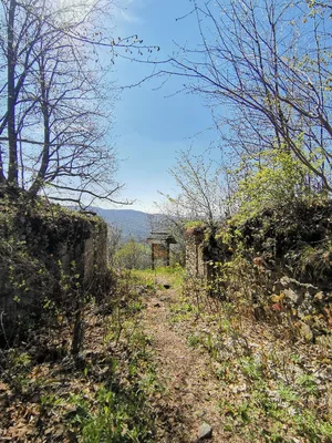 Hradová — photo 2