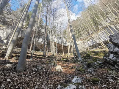 Tlstá — photo 3