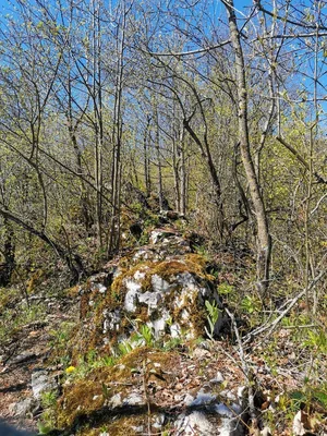Hradová — photo 4