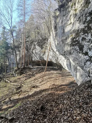 Tlstá — photo 4