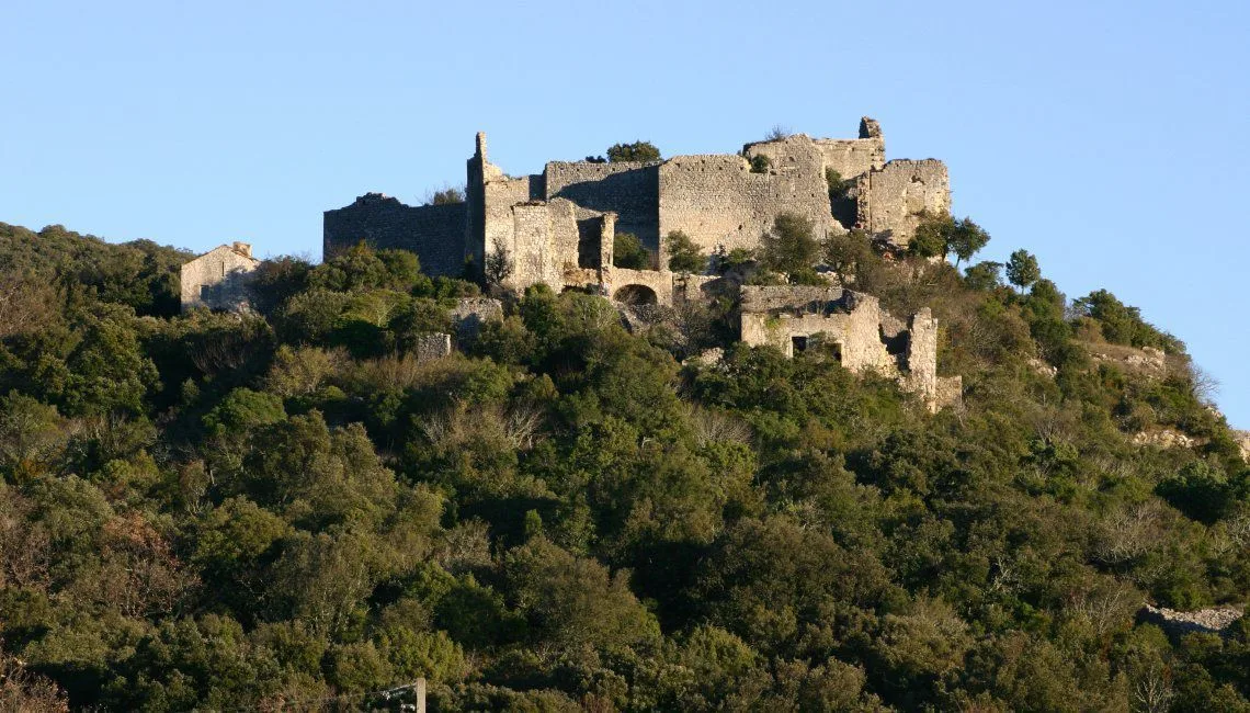 Ruines du château d'Allègre