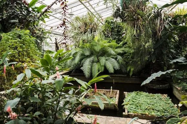 Poznan Palm House