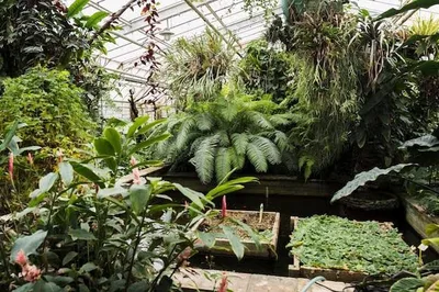 Poznan Palm House