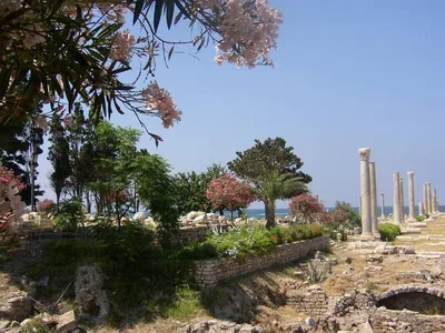 Site romain de Tyr